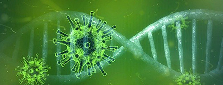 Corona Virus Corona Virus