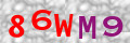 Sicherheitscode <strong style="padding: 0px 2px; color: #f00;">*</strong><br />