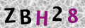 Sicherheitscode <strong style="padding: 0px 2px; color: #f00;">*</strong><br />