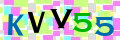 Sicherheitscode <strong style="padding: 0px 2px; color: #f00;">*</strong><br />