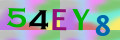Sicherheitscode <strong style="padding: 0px 2px; color: #f00;">*</strong><br />