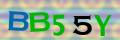 Sicherheitscode <strong style="padding: 0px 2px; color: #f00;">*</strong><br />