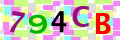 Sicherheitscode <strong style="padding: 0px 2px; color: #f00;">*</strong><br />