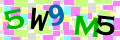Sicherheitscode <strong style="padding: 0px 2px; color: #f00;">*</strong><br />