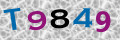 Sicherheitscode <strong style="padding: 0px 2px; color: #f00;">*</strong><br />