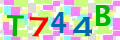 Sicherheitscode <strong style="padding: 0px 2px; color: #f00;">*</strong><br />