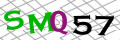 Sicherheitscode <strong style="padding: 0px 2px; color: #f00;">*</strong><br />