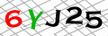 Sicherheitscode <strong style="padding: 0px 2px; color: #f00;">*</strong><br />