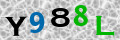 Sicherheitscode <strong style="padding: 0px 2px; color: #f00;">*</strong><br />