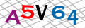 Code de s&eacute;curit&eacute; <strong style="padding: 0px 2px; color: #f00;">*</strong><br />