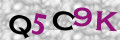 Sicherheitscode <strong style="padding: 0px 2px; color: #f00;">*</strong><br />