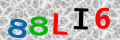 Sicherheitscode <strong style="padding: 0px 2px; color: #f00;">*</strong><br />