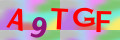 Sicherheitscode <strong style="padding: 0px 2px; color: #f00;">*</strong><br />