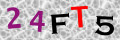 Sicherheitscode <strong style="padding: 0px 2px; color: #f00;">*</strong><br />