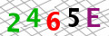 Code de s&eacute;curit&eacute; <strong style="padding: 0px 2px; color: #f00;">*</strong><br />