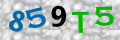 Sicherheitscode <strong style="padding: 0px 2px; color: #f00;">*</strong><br />
