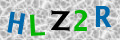 Sicherheitscode <strong style="padding: 0px 2px; color: #f00;">*</strong><br />