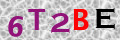 Code de sécurité
<strong style="padding: 0px 2px; color: #f00;">*</strong><br />