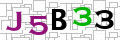 Sicherheitscode <strong style="padding: 0px 2px; color: #f00;">*</strong><br />