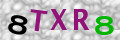 Sicherheitscode <strong style="padding: 0px 2px; color: #f00;">*</strong><br />