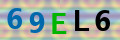 Sicherheitscode <strong style="padding: 0px 2px; color: #f00;">*</strong><br />