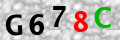 Sicherheitscode <strong style="padding: 0px 2px; color: #f00;">*</strong><br />