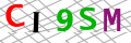 Sicherheitscode <strong style="padding: 0px 2px; color: #f00;">*</strong><br />