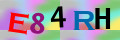 Sicherheitscode <strong style="padding: 0px 2px; color: #f00;">*</strong><br />