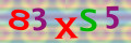 Sicherheitscode <strong style="padding: 0px 2px; color: #f00;">*</strong><br />
