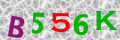 Sicherheitscode <strong style="padding: 0px 2px; color: #f00;">*</strong><br />