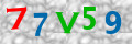 Code de sécurité <strong style="padding: 0px 2px; color: #f00;">*</strong><br />