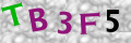 Sicherheitscode <strong style="padding: 0px 2px; color: #f00;">*</strong><br />