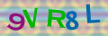 Sicherheitscode <strong style="padding: 0px 2px; color: #f00;">*</strong><br />