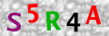 Sicherheitscode <strong style="padding: 0px 2px; color: #f00;">*</strong><br />