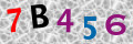 Code de s&eacute;curit&eacute; <strong style="padding: 0px 2px; color: #f00;">*</strong><br />