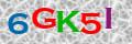 Sicherheitscode <strong style="padding: 0px 2px; color: #f00;">*</strong><br />