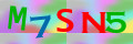 Sicherheitscode <strong style="padding: 0px 2px; color: #f00;">*</strong><br />