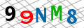 Sicherheitscode <strong style="padding: 0px 2px; color: #f00;">*</strong><br />