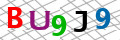 Sicherheitscode <strong style="padding: 0px 2px; color: #f00;">*</strong><br />