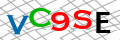 Sicherheitscode <strong style="padding: 0px 2px; color: #f00;">*</strong><br />
