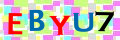 Sicherheitscode <strong style="padding: 0px 2px; color: #f00;">*</strong><br />