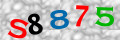 Code de sécurité <strong style="padding: 0px 2px; color: #f00;">*</strong><br />