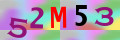 Sicherheitscode <strong style="padding: 0px 2px; color: #f00;">*</strong><br />