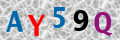 Code de s&eacute;curit&eacute; <strong style="padding: 0px 2px; color: #f00;">*</strong><br />