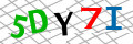 Sicherheitscode <strong style="padding: 0px 2px; color: #f00;">*</strong><br />