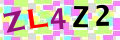 Sicherheitscode <strong style="padding: 0px 2px; color: #f00;">*</strong><br />