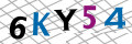 Sicherheitscode <strong style="padding: 0px 2px; color: #f00;">*</strong><br />