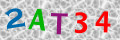 Sicherheitscode <strong style="padding: 0px 2px; color: #f00;">*</strong><br />