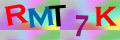 Sicherheitscode <strong style="padding: 0px 2px; color: #f00;">*</strong><br />