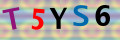 Sicherheitscode <strong style="padding: 0px 2px; color: #f00;">*</strong><br />